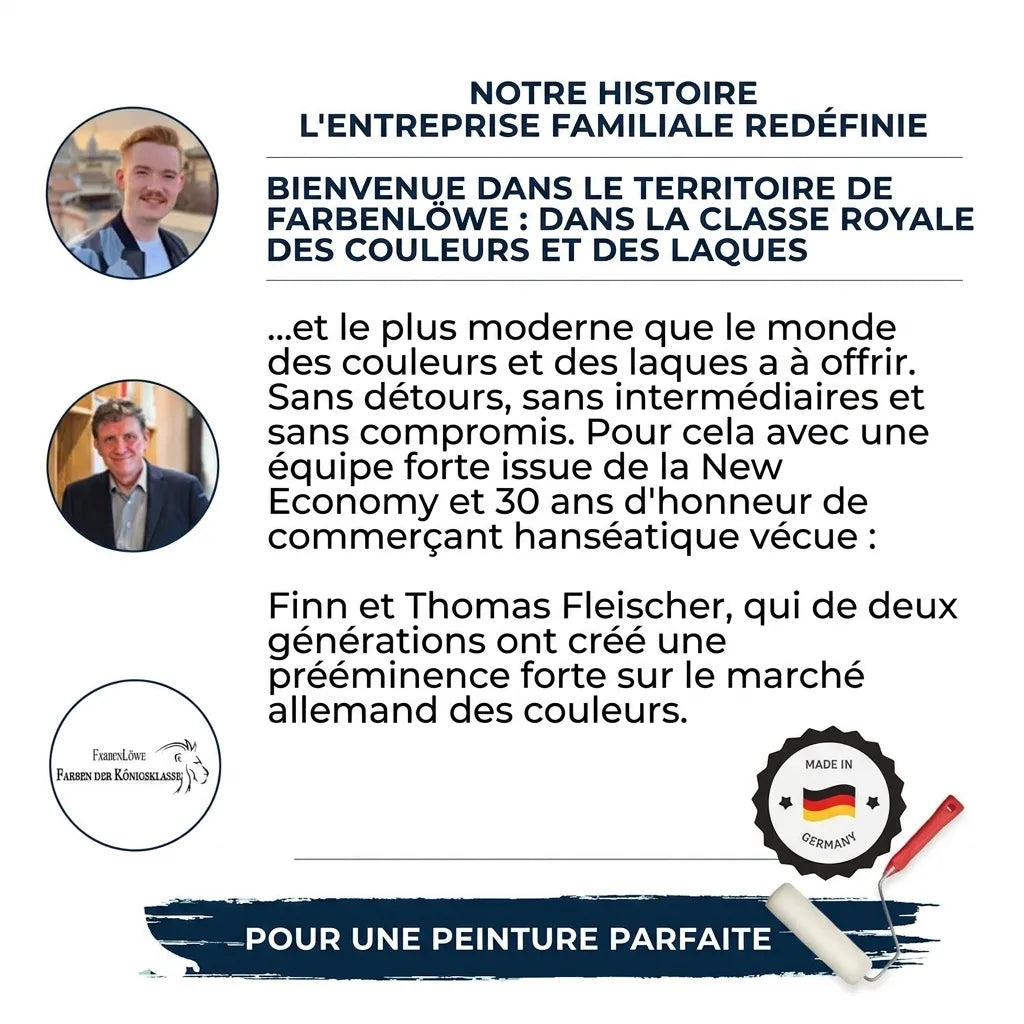 Présentation de l'entreprise Farbenlöwe avec portraits de Finn et Thomas Fleischer, leur logo et texte marketing sur leurs peintures.
