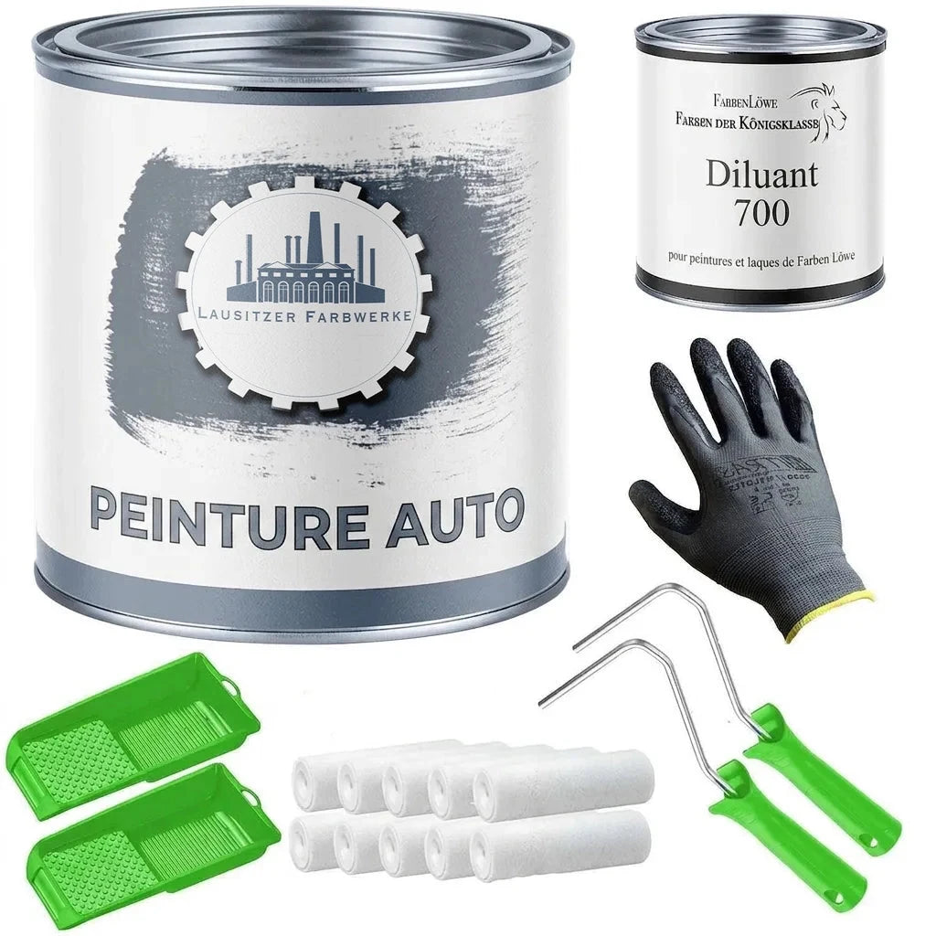 Kit de peinture auto complet : peinture voiture, diluant, gants, bacs et rouleaux pour application.