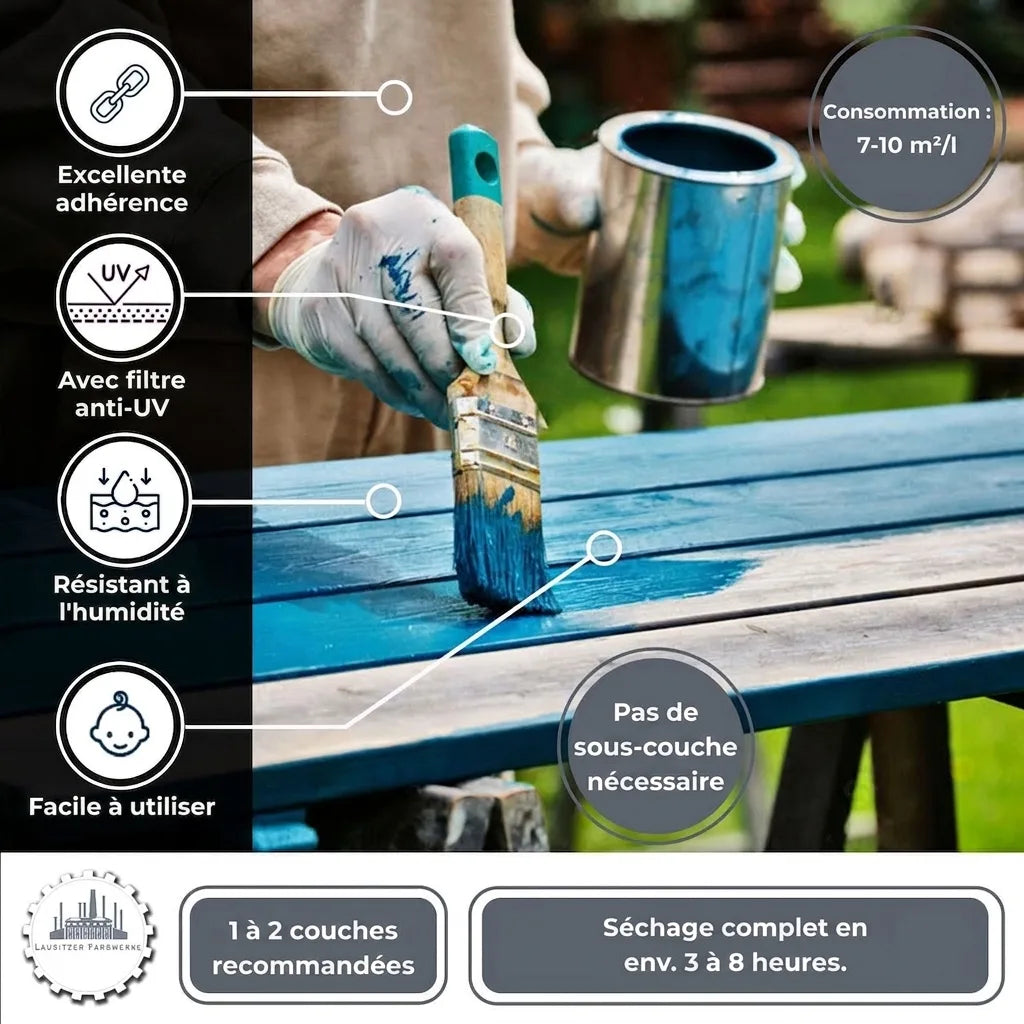 Infographie des avantages peinture bois : forte adhérence, UV, humidité, simple, pas de sous-couche, séchage rapide.