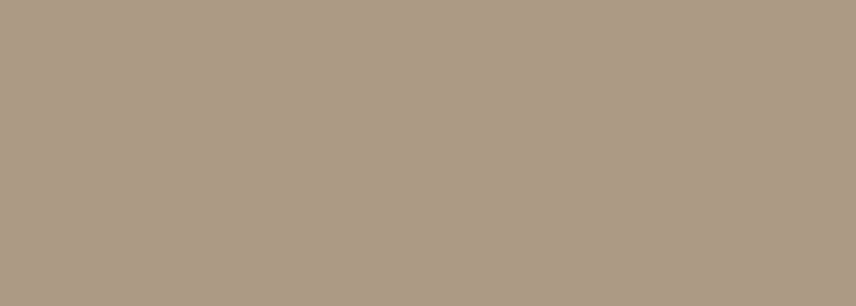 RAL 1019 Gris-beige