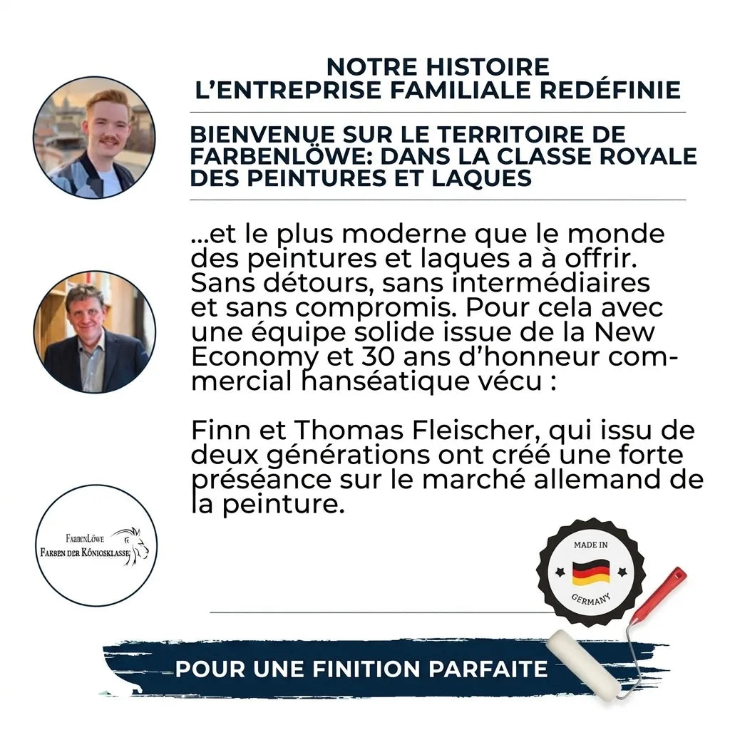 Page marketing sur l'entreprise familiale allemande de peinture Farbenlöwe, avec photos de Finn et Thomas Fleischer.