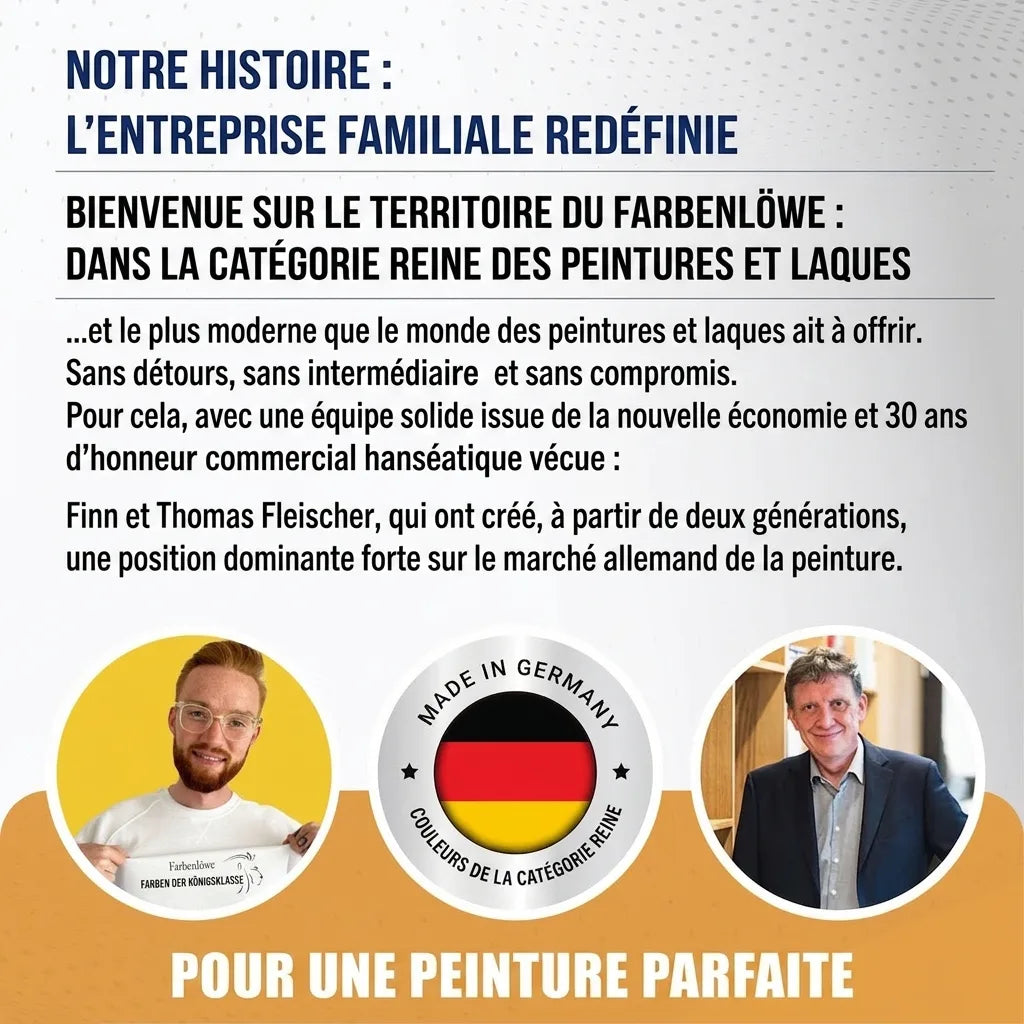 Publicité pour Farbenlöwe, entreprise familiale allemande de peinture, avec les fondateurs Finn et Thomas Fleischer.