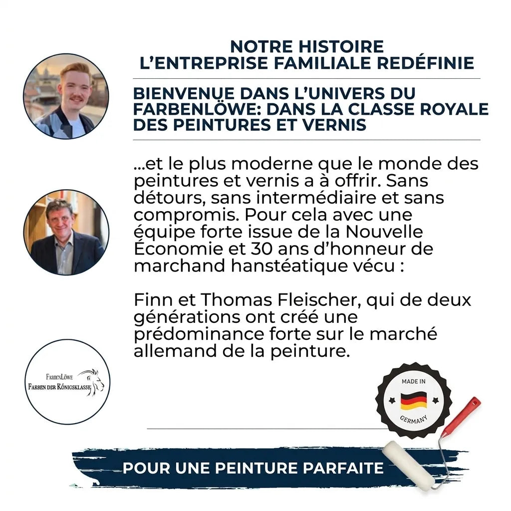 Infographie FarbenLöwe: histoire d'une entreprise familiale, peintures modernes, fondateurs Finn et Thomas Fleischer.