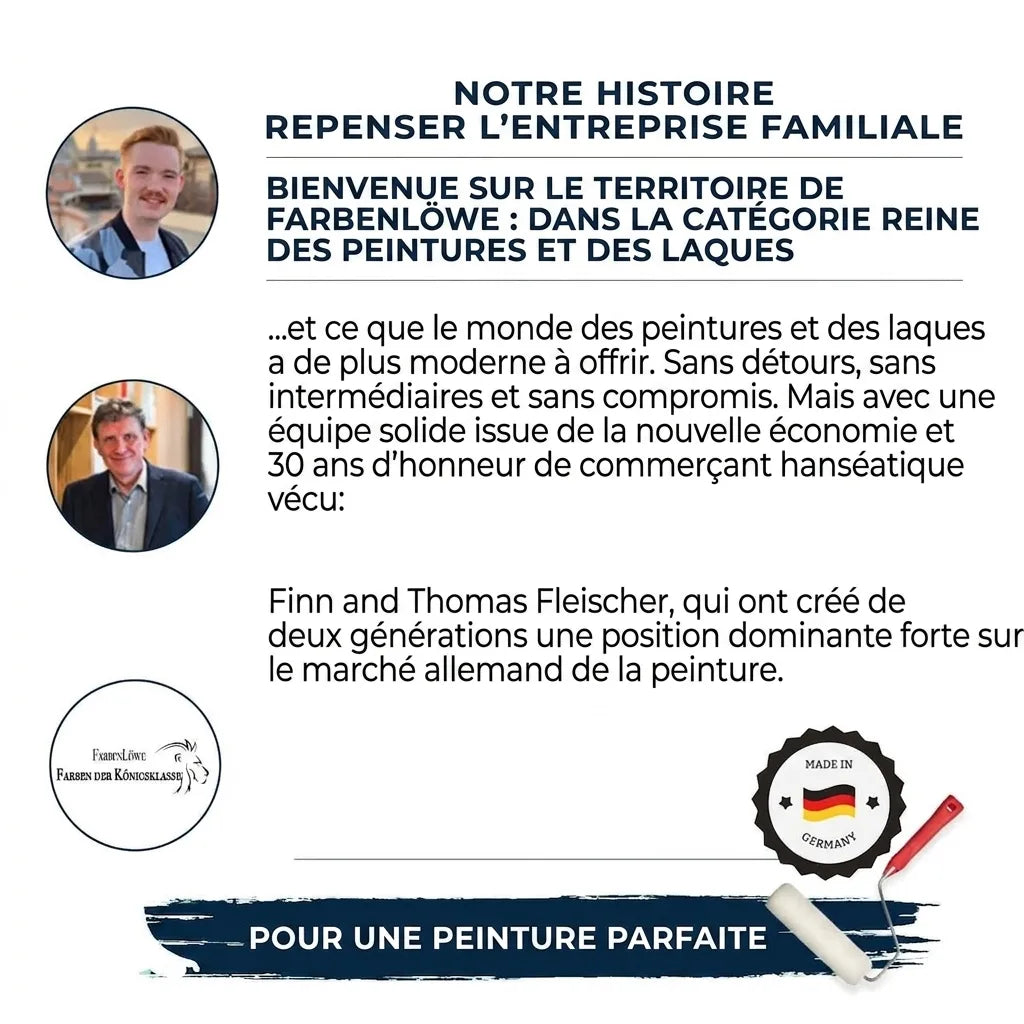 Présentation de l'entreprise Farbenlöwe avec portraits des fondateurs Finn et Thomas Fleischer et texte descriptif.