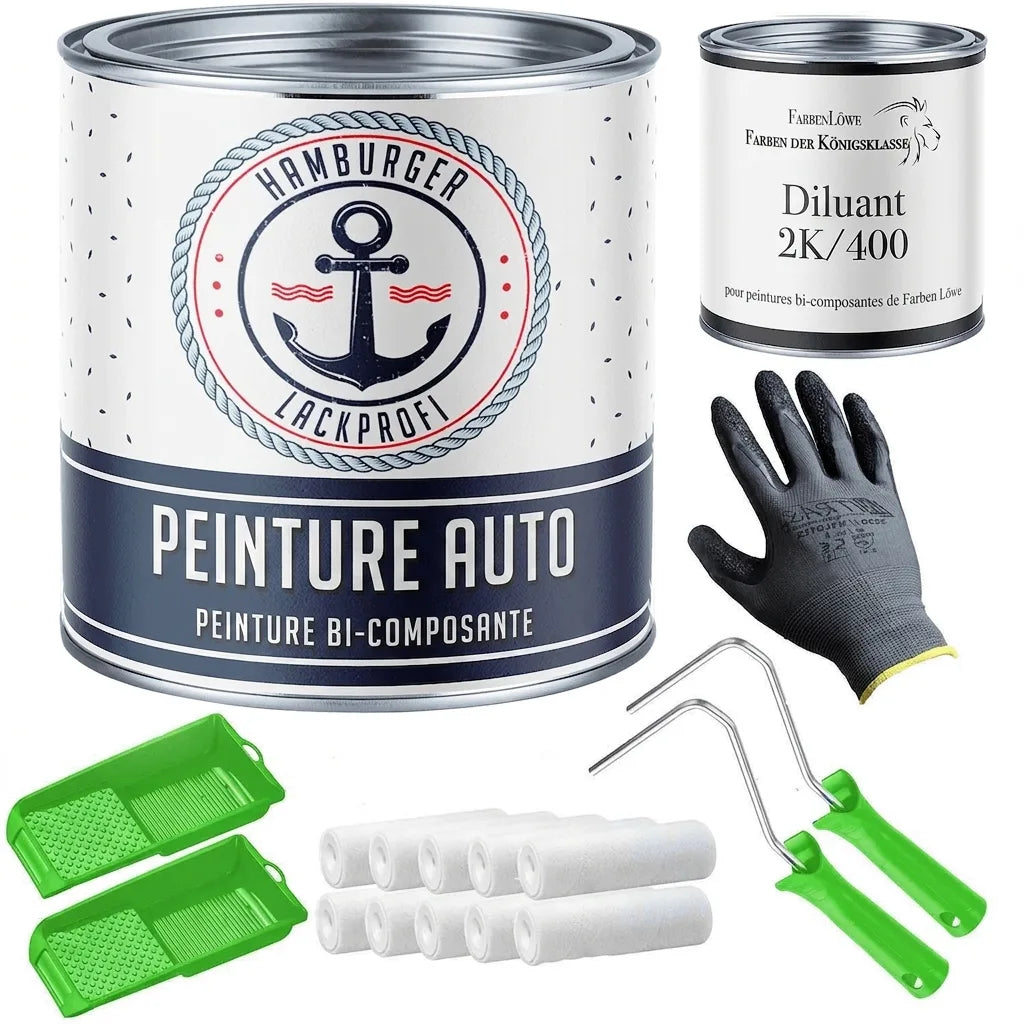 Kit de peinture automobile : pot de peinture auto 2K, diluant, gants, 8 rouleaux, 2 montures, 2 bacs.