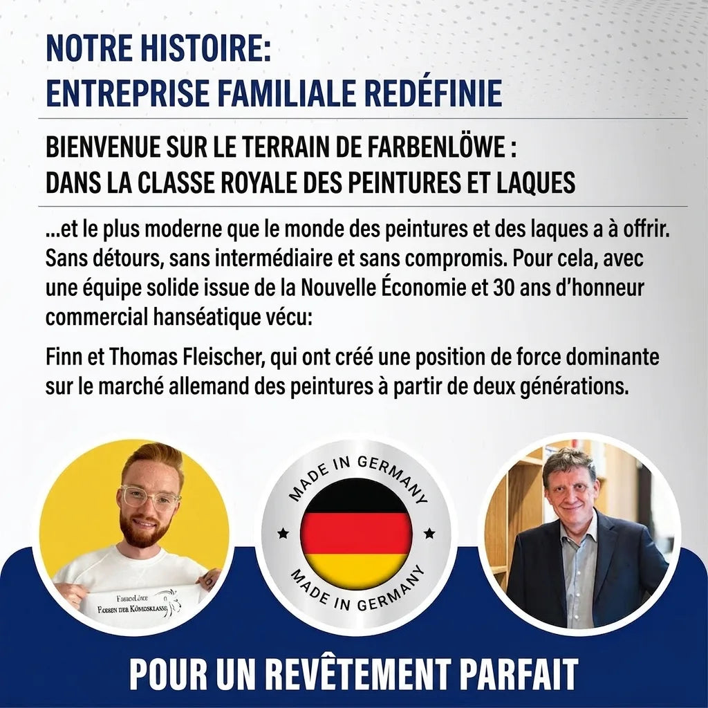 Page de présentation de l'entreprise Farbenlöwe, avec ses fondateurs Finn et Thomas Fleischer, soulignant "Made in Germany".