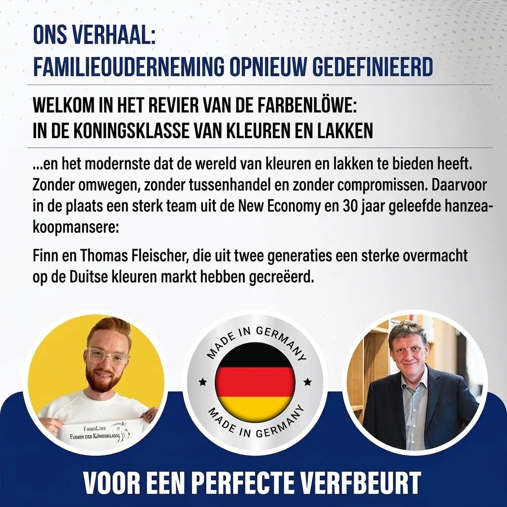 Duitse infographic: Familiebedrijf FarbenLöwe herdefinieerd, met oprichters Finn en Thomas Fleischer, 'Made in Germany'.