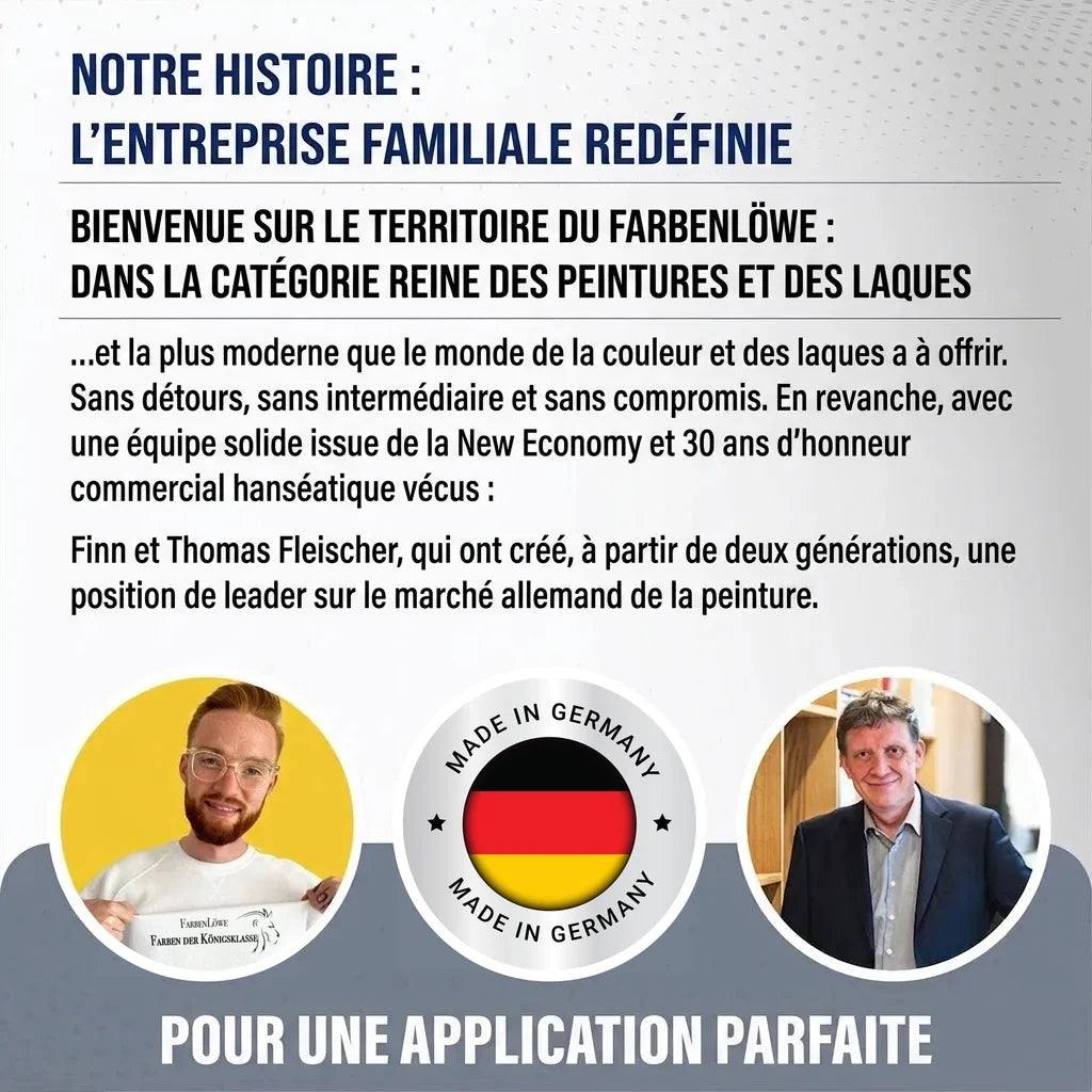 Lausitzer Farbwerke peinture carrelage avec kit de peinture (X300) & diluant (1 L) - Offre économies 30%