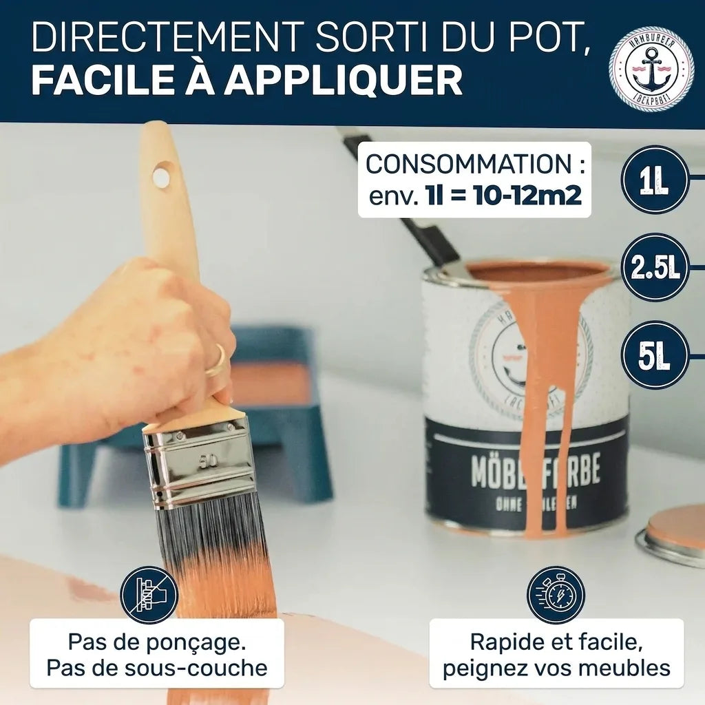 Main avec pinceau dans un pot de peinture meuble. Peinture facile : pas de ponçage/apprêt. Consommation : 1L = 10-12m². Tailles : 1L, 2.5L, 