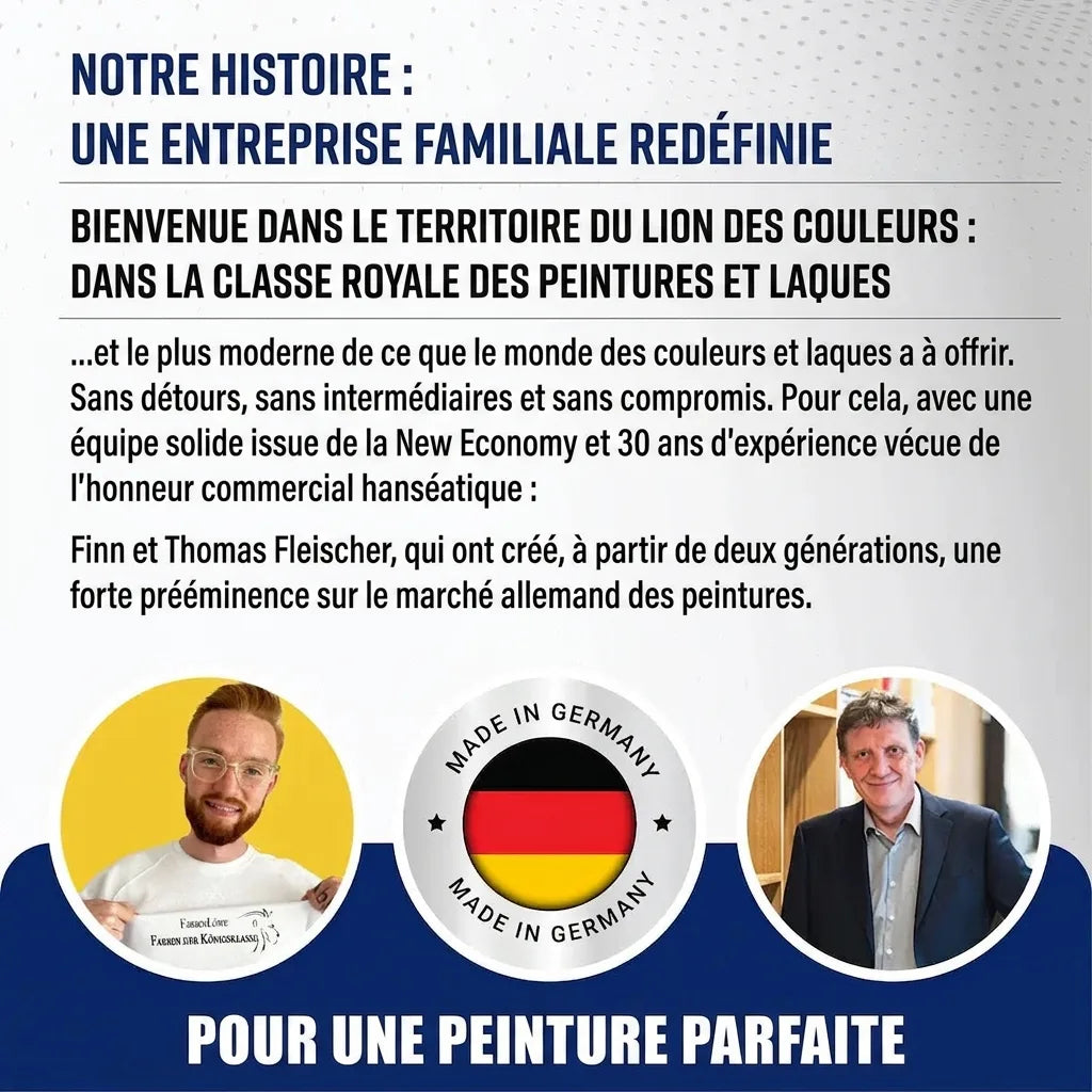 Infographie entreprise familiale allemande de peinture. Présente Finn et Thomas Fleischer, qualité « Made in Germany ».