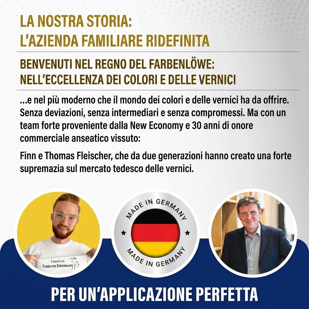 L'azienda familiare tedesca Farbenlöwe specializzata in colori e vernici, con i fondatori Finn e Thomas Fleischer.