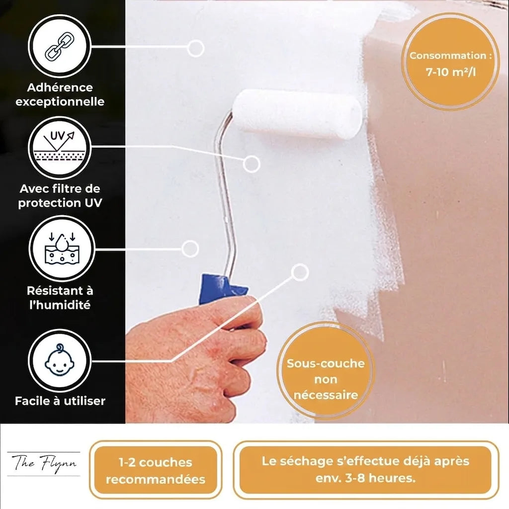 Peinture murale: Adhérence, protection UV, humidité. Facile, sans apprêt, séchage 3-8h. 7-10m²/l.